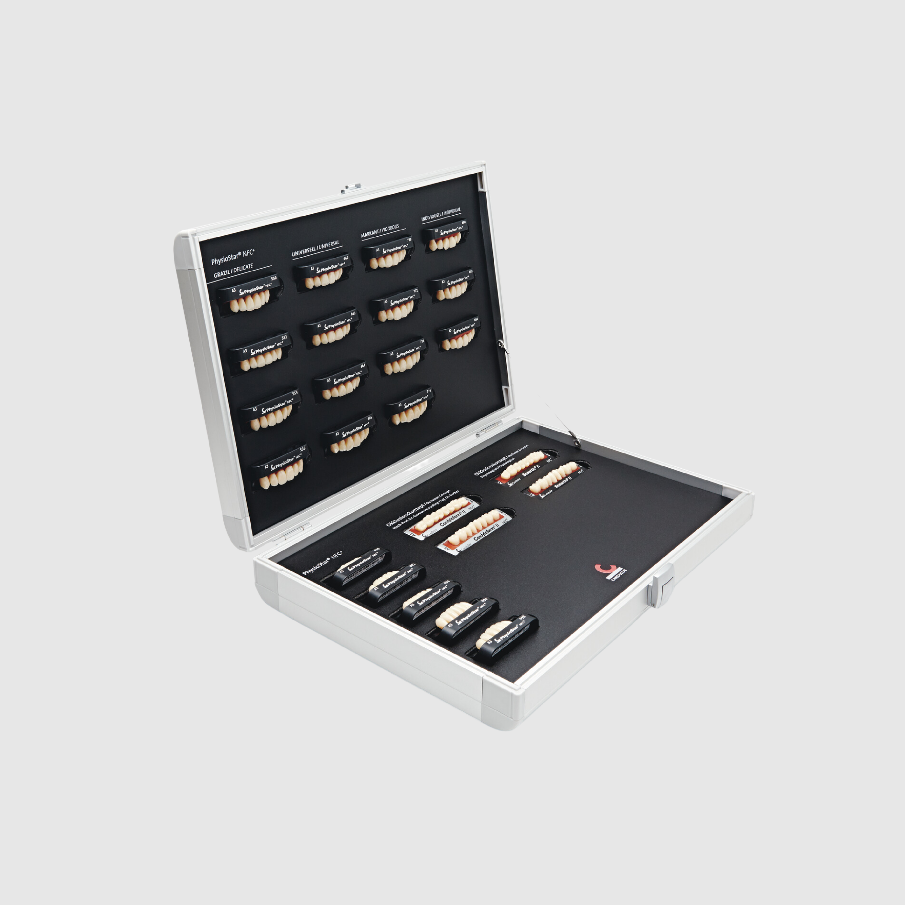 Lebende Zahnformenkarte PhysioStar NFC+