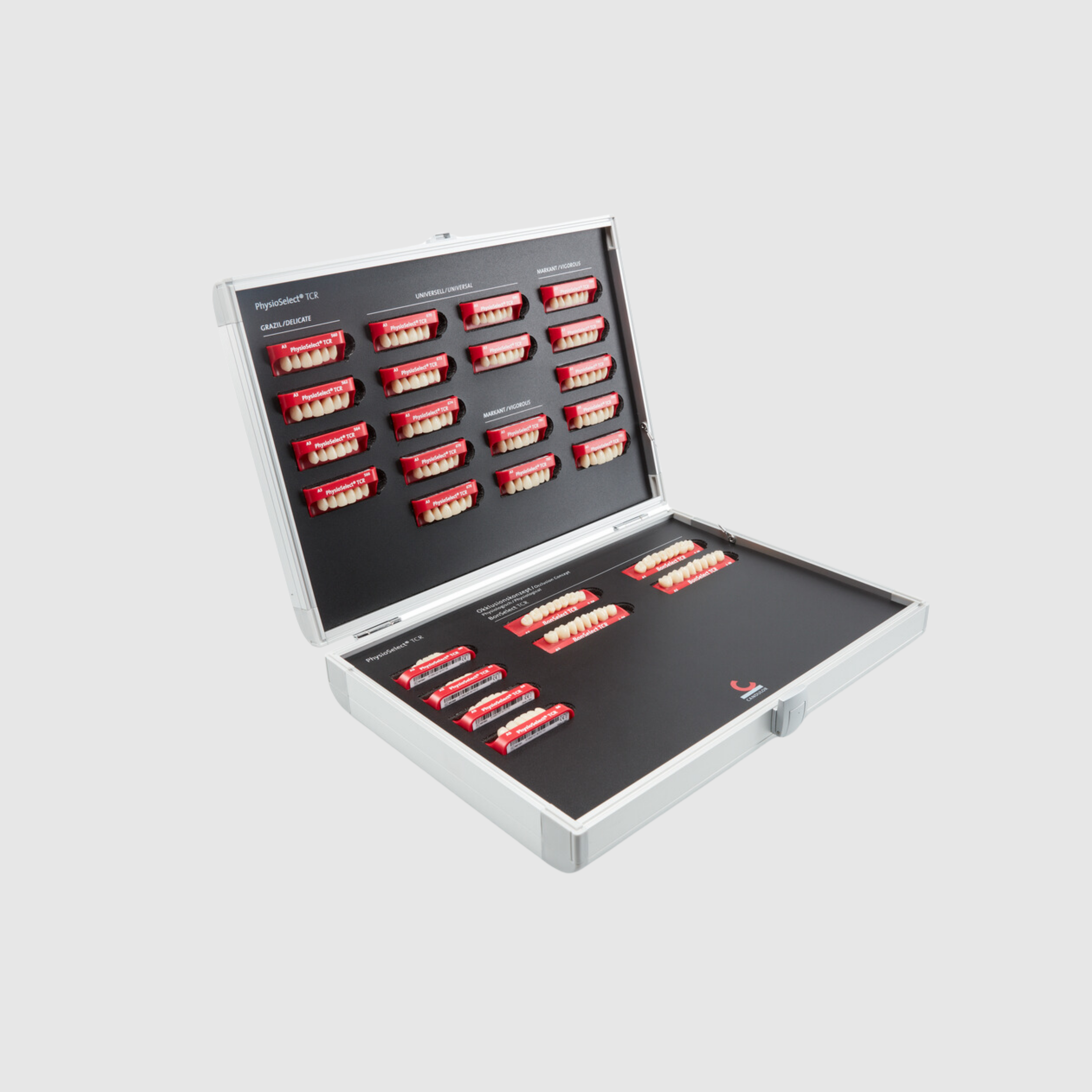 Lebende Zahnformenkarte PhysioSelect® TCR