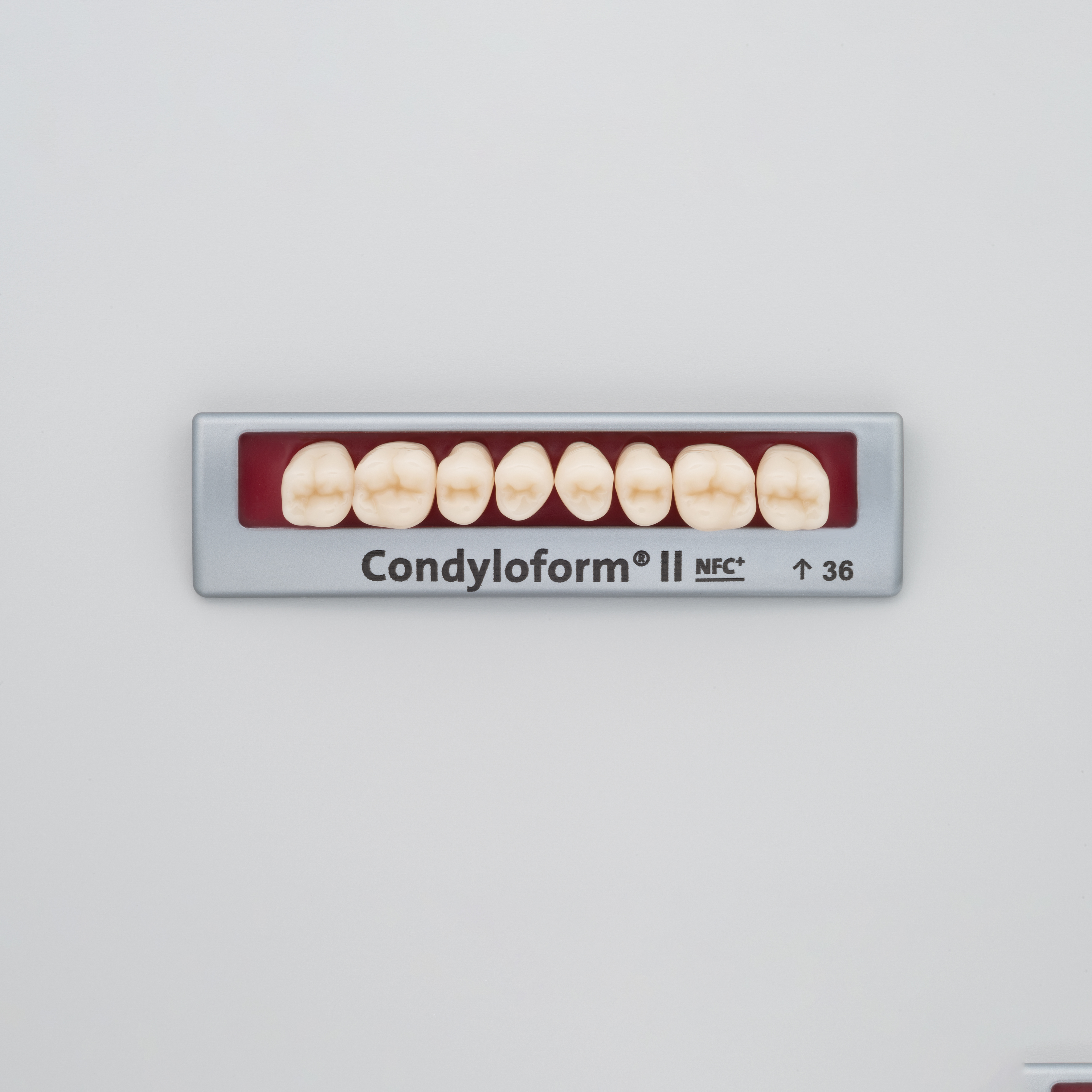 Condyloform II NFC+