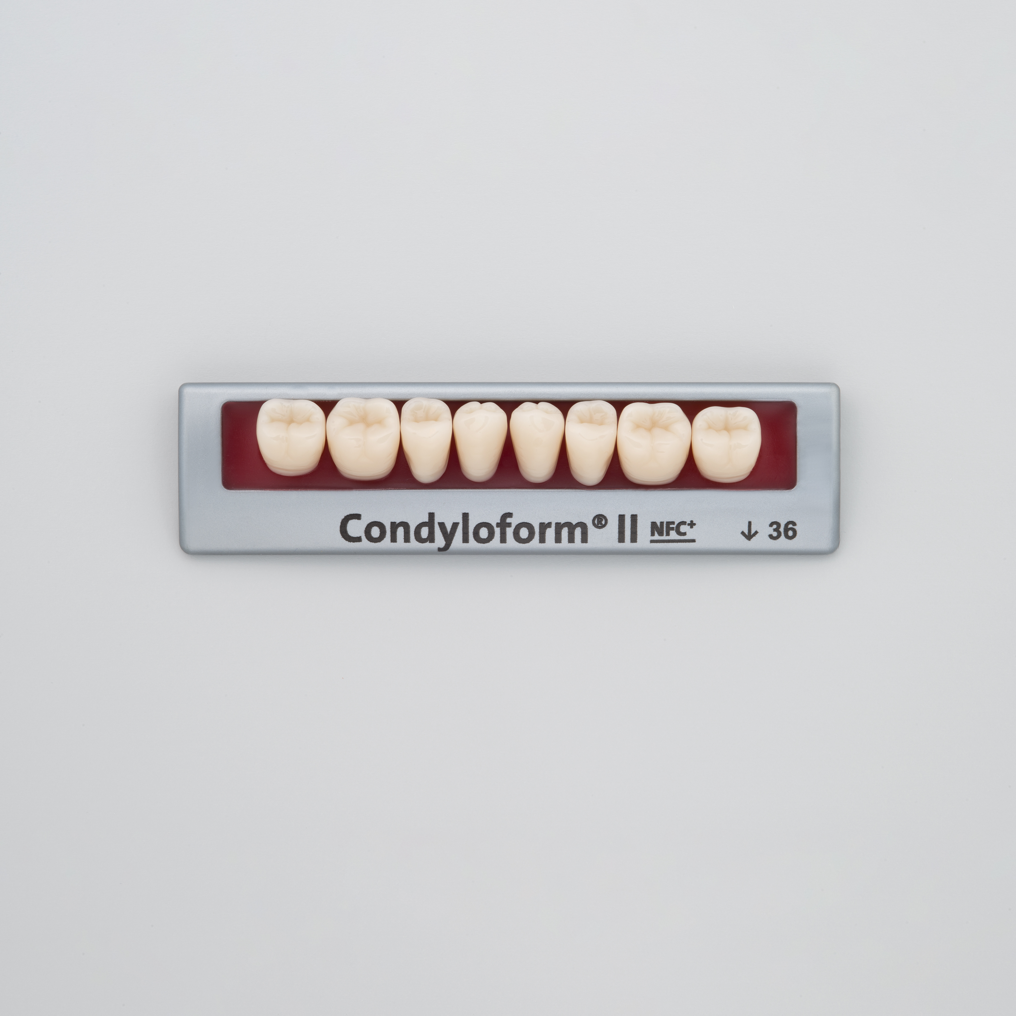 Condyloform II NFC+